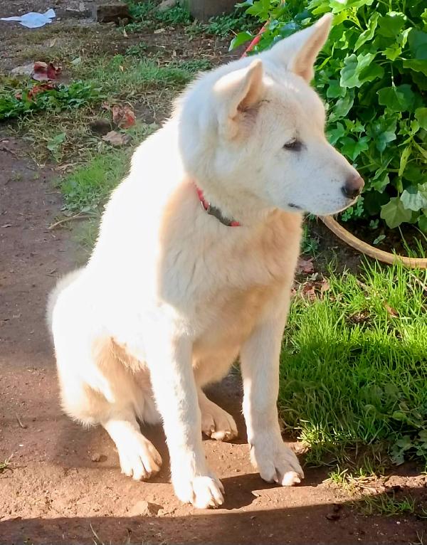 UNA MAMMA PER HIRO Foto 6