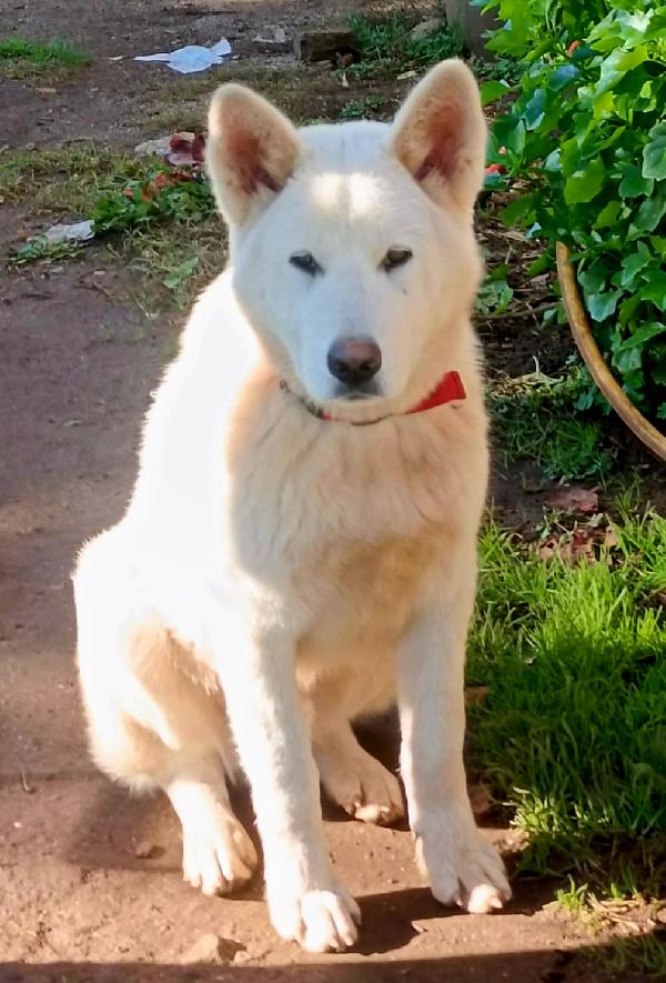 UNA MAMMA PER HIRO Foto 7