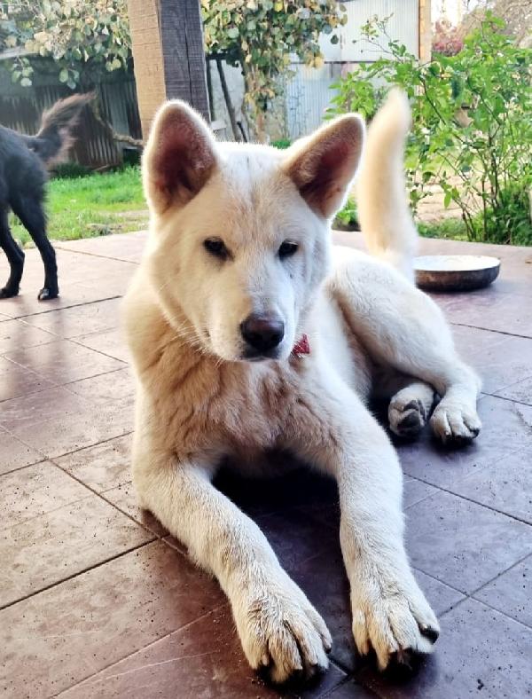 UNA MAMMA PER HIRO Foto 8