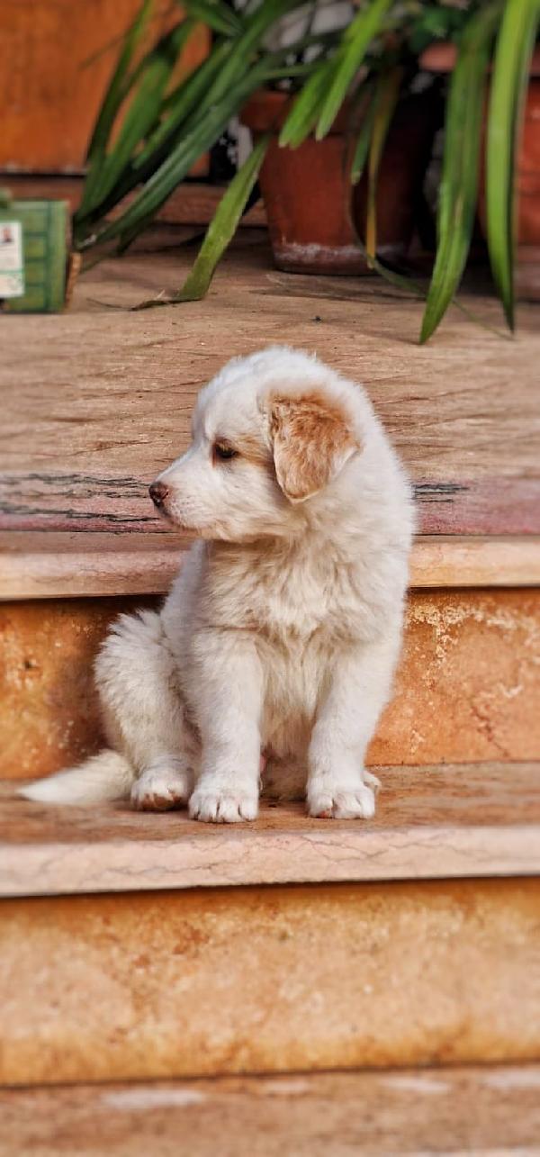 Rayan💞✨💞 Foto 3