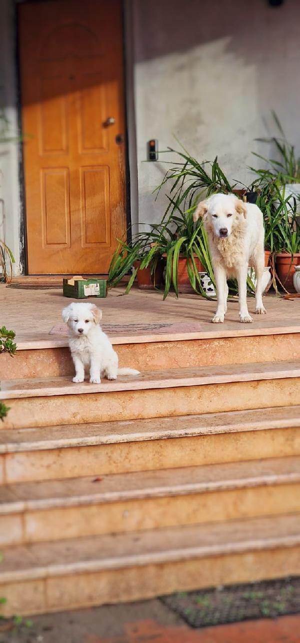 Rayan💞✨💞 Foto 4