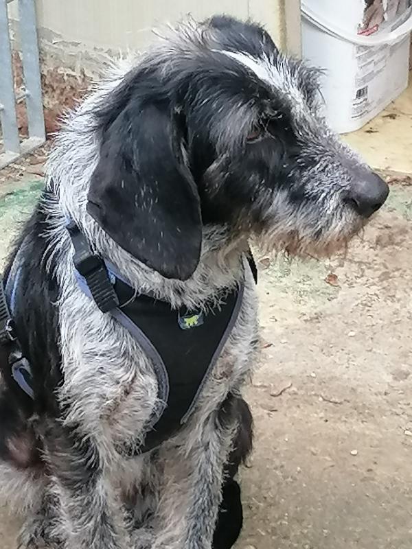 CHICCA CERCA CASA Foto 3