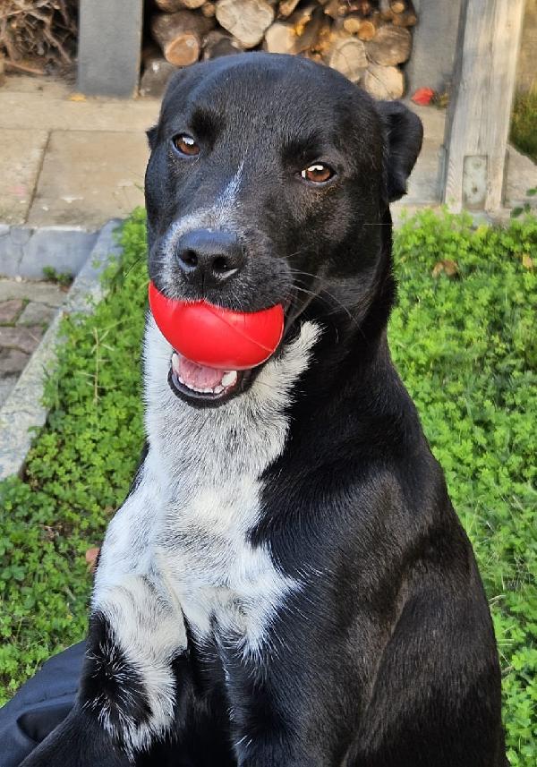 Micky Aspetta Una Mamma 