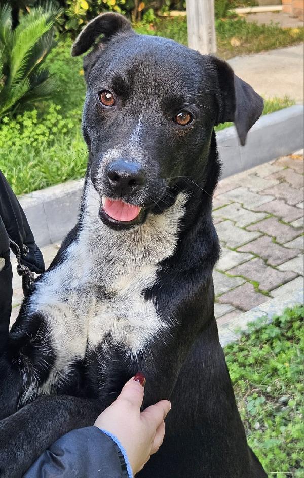 MICKY ASPETTA UNA MAMMA  Foto 2