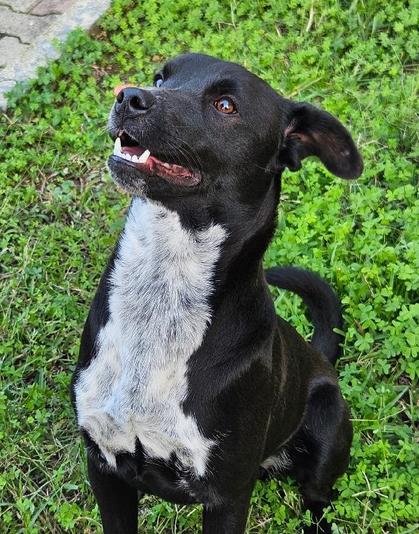 MICKY ASPETTA UNA MAMMA  Foto 4