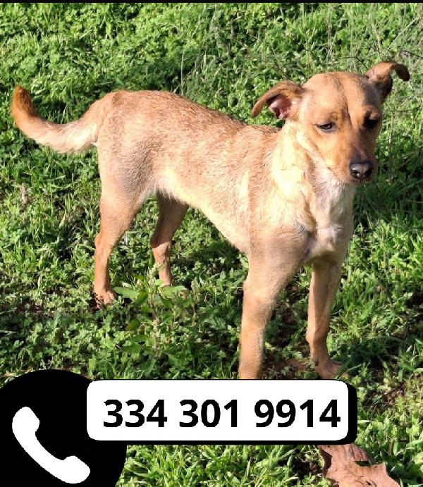 JASMINE ♥️ Foto 2