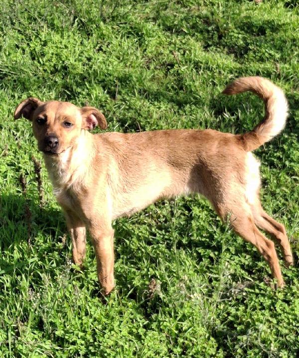 JASMINE ♥️ Foto 3