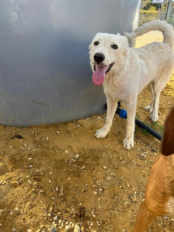 DA 1 ANNO SOLO ED ESCLUSO  Foto 5