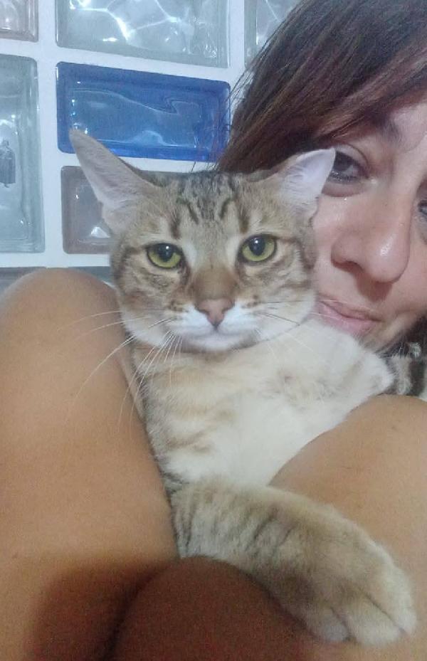 STITCH, tenero cucciolo in adozione ! Foto 3