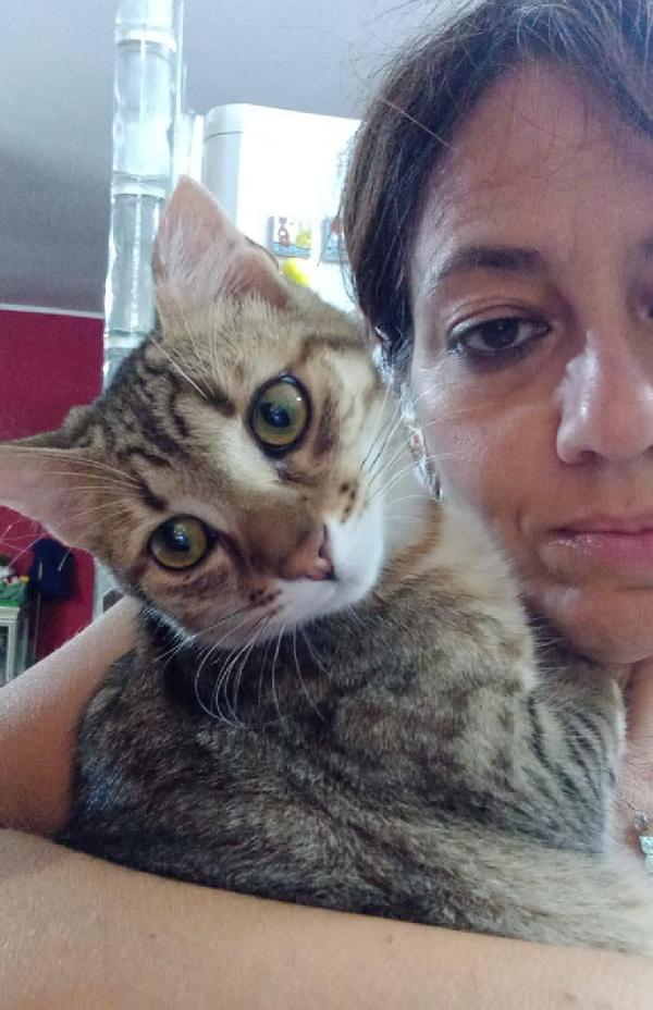 STITCH, tenero cucciolo in adozione ! Foto 4