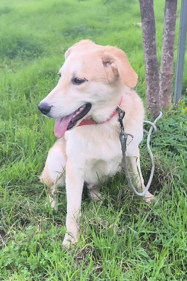 Una famiglia per Jago  Foto 3