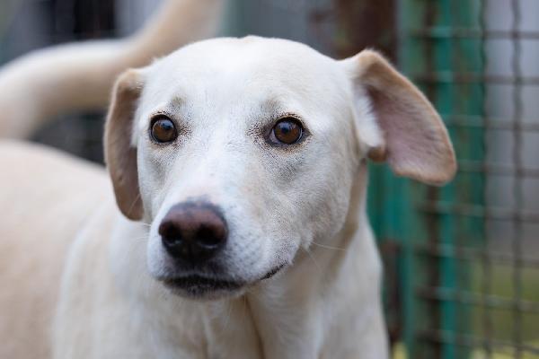 Aurora Dolce Mammina Cerca Famiglia 