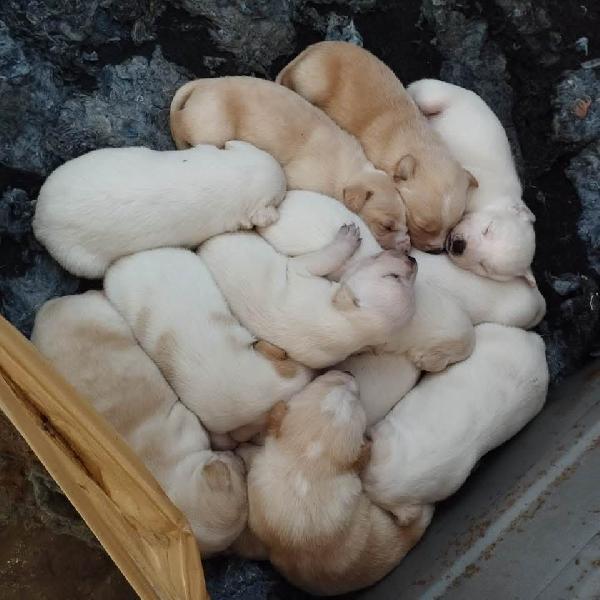 Aurora Dolce Mammina Cerca Famiglia  Foto 3