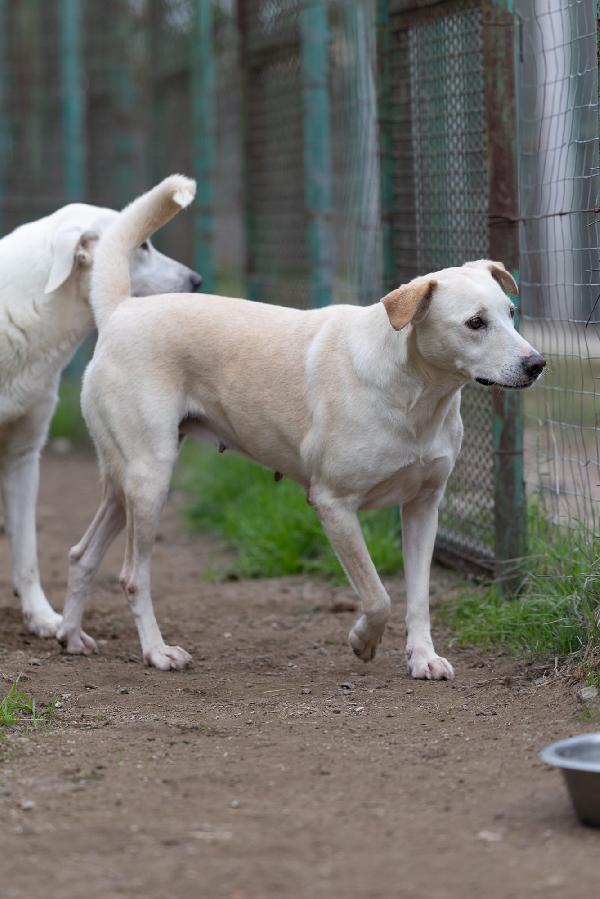 Aurora Dolce Mammina Cerca Famiglia  Foto 4