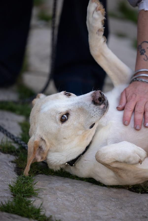 Aurora Dolce Mammina Cerca Famiglia  Foto 5