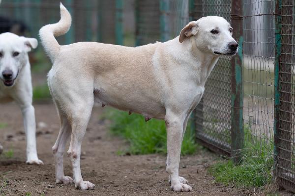 Aurora Dolce Mammina Cerca Famiglia  Foto 6