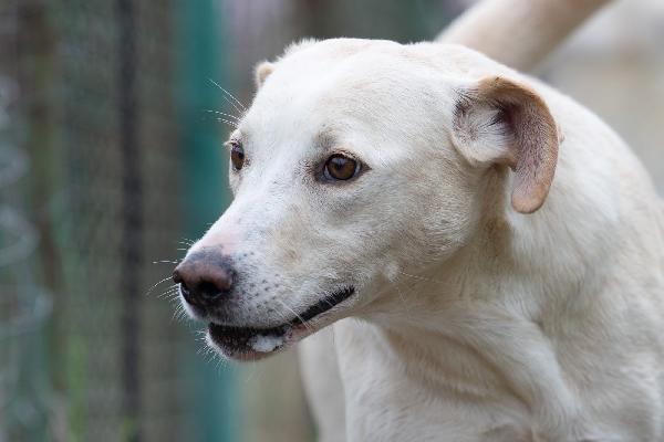Aurora Dolce Mammina Cerca Famiglia  Foto 7