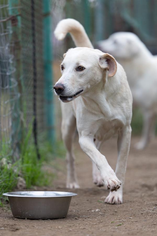 Aurora Dolce Mammina Cerca Famiglia  Foto 8