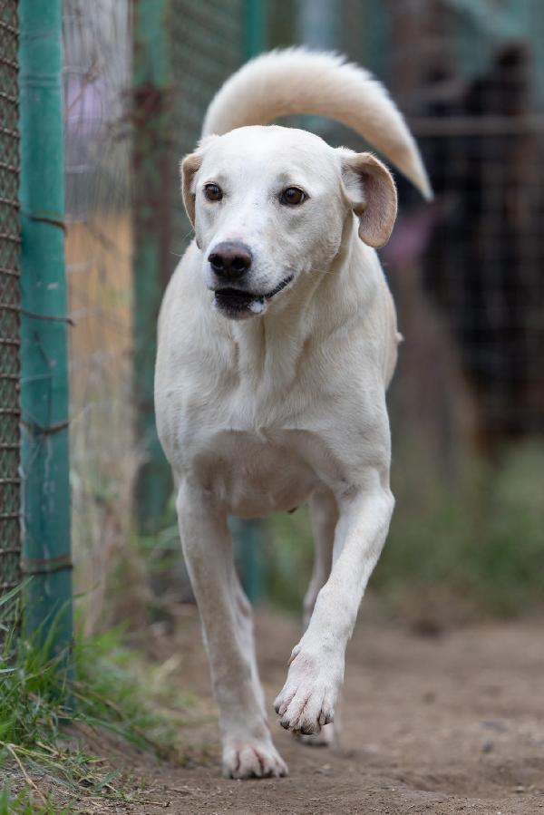 Aurora Dolce Mammina Cerca Famiglia  Foto 9
