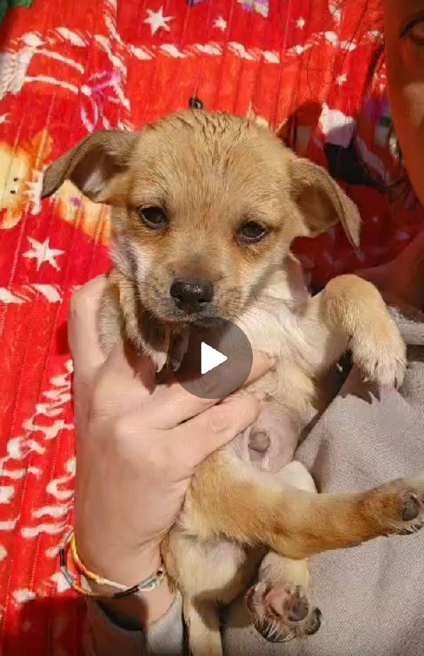 Fagottino: 2 Mesi Taglia Piccola 