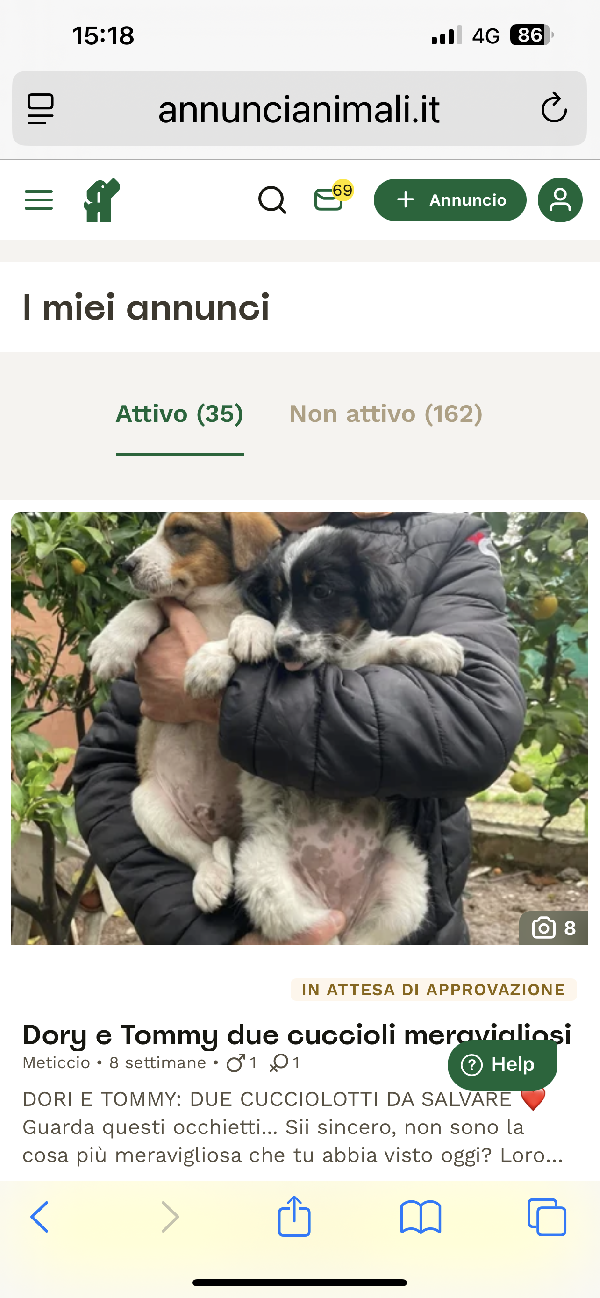 Dory la cucciola stracciatella  Foto 5