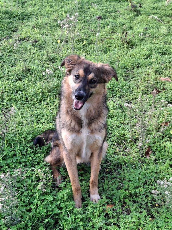 Brenda dolce e morbidosa  Foto 2