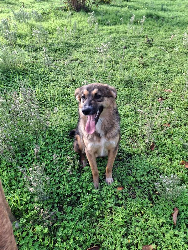 Brenda dolce e morbidosa  Foto 3