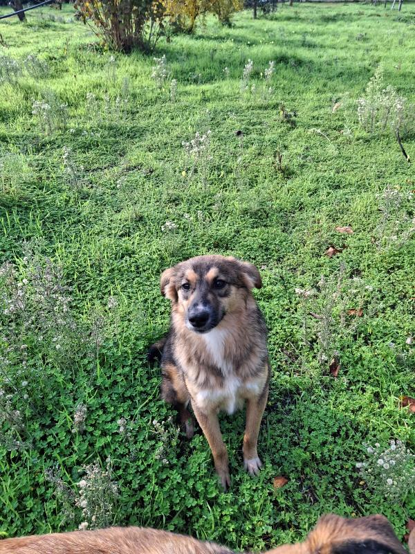 Brenda dolce e morbidosa  Foto 4