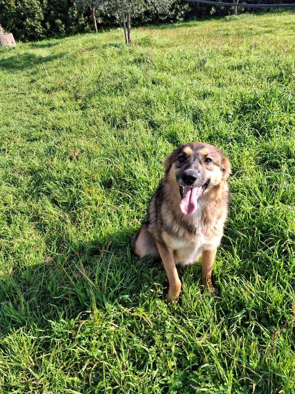 Brenda dolce e morbidosa  Foto 6