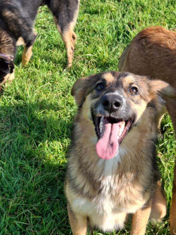 Brenda dolce e morbidosa  Foto 7