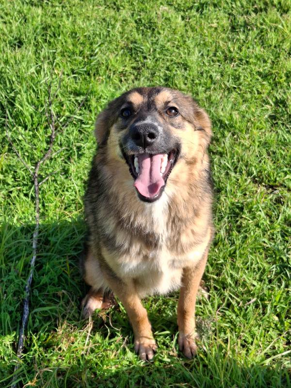 Brenda dolce e morbidosa  Foto 8