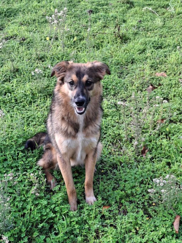 Brenda aspetta il suo Babbo Natale Foto 2