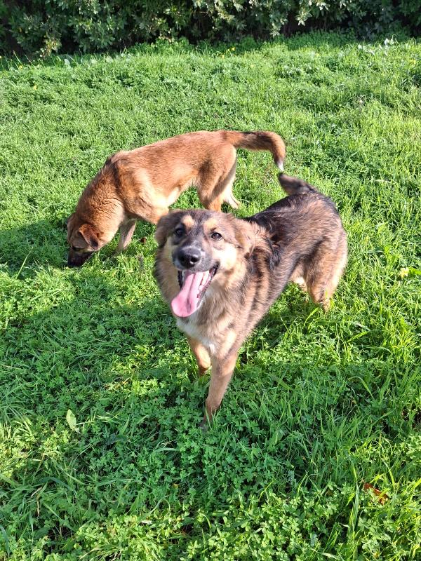 Brenda aspetta il suo Babbo Natale Foto 4