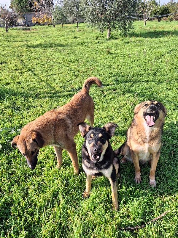 Brenda aspetta il suo Babbo Natale Foto 6