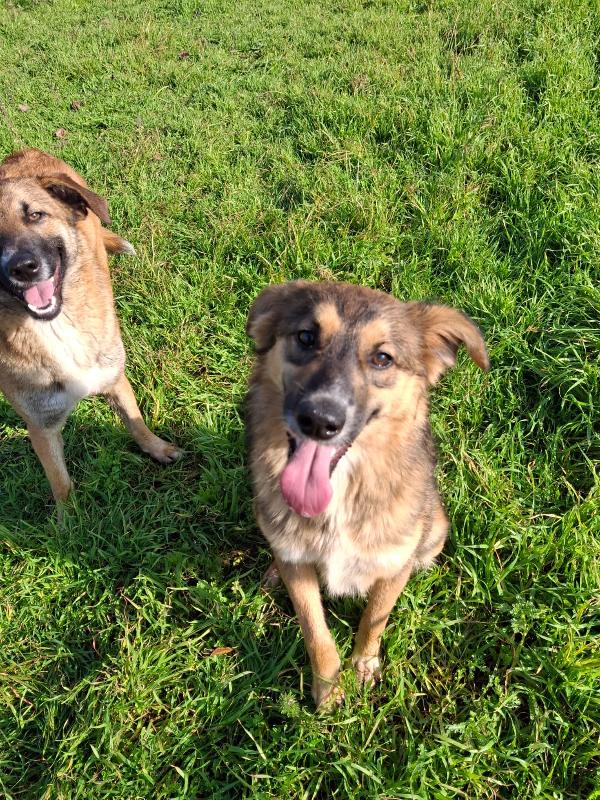 Brenda aspetta il suo Babbo Natale Foto 7