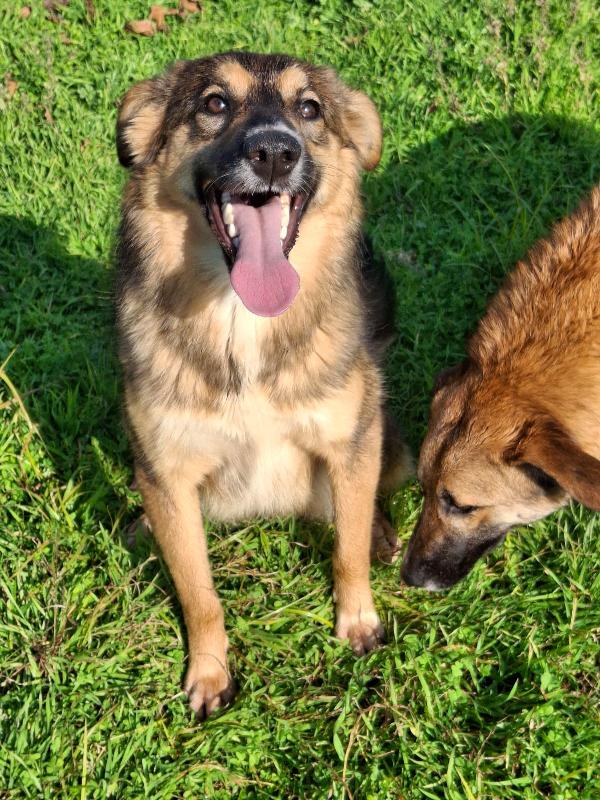 Brenda aspetta il suo Babbo Natale Foto 8