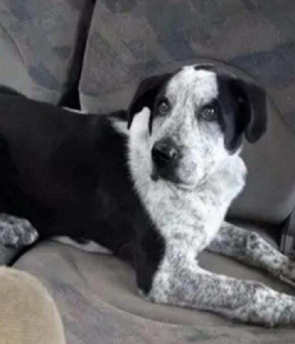 Cris Circa 3Anni Mollato 2Anni Fa In Montagna 