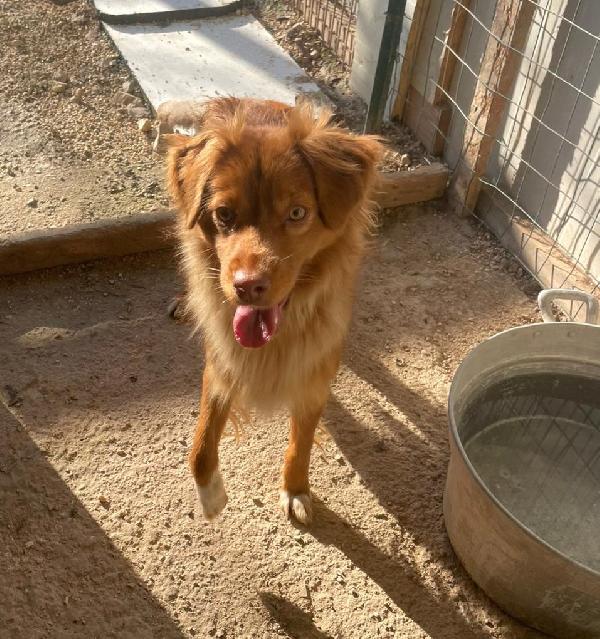 LA PICCOLA MEMOLE Foto 3