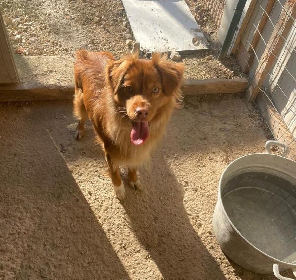 LA PICCOLA MEMOLE Foto 2