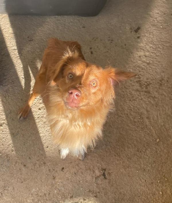 LA PICCOLA MEMOLE Foto 4