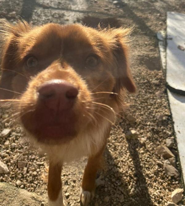 LA PICCOLA MEMOLE Foto 5