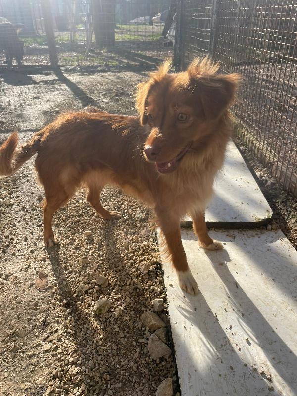 LA PICCOLA MEMOLE Foto 6