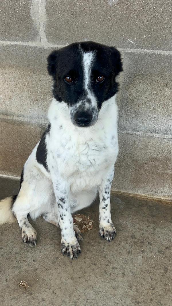 Ughetto Ti Sta Aspettando 