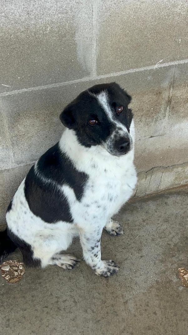 Ughetto ti sta aspettando  Foto 2