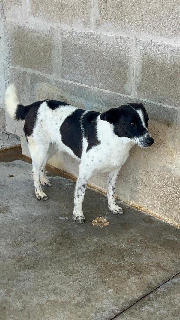 Ughetto ti sta aspettando  Foto 3