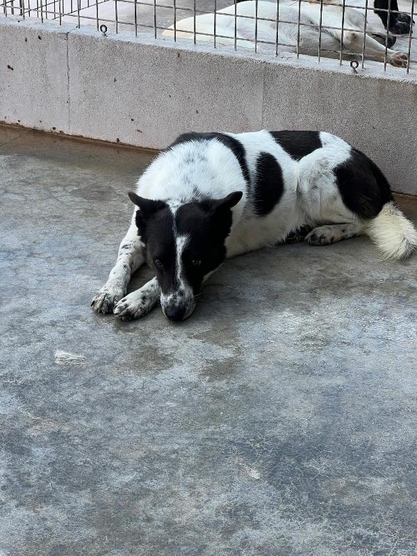 Ughetto ti sta aspettando  Foto 4