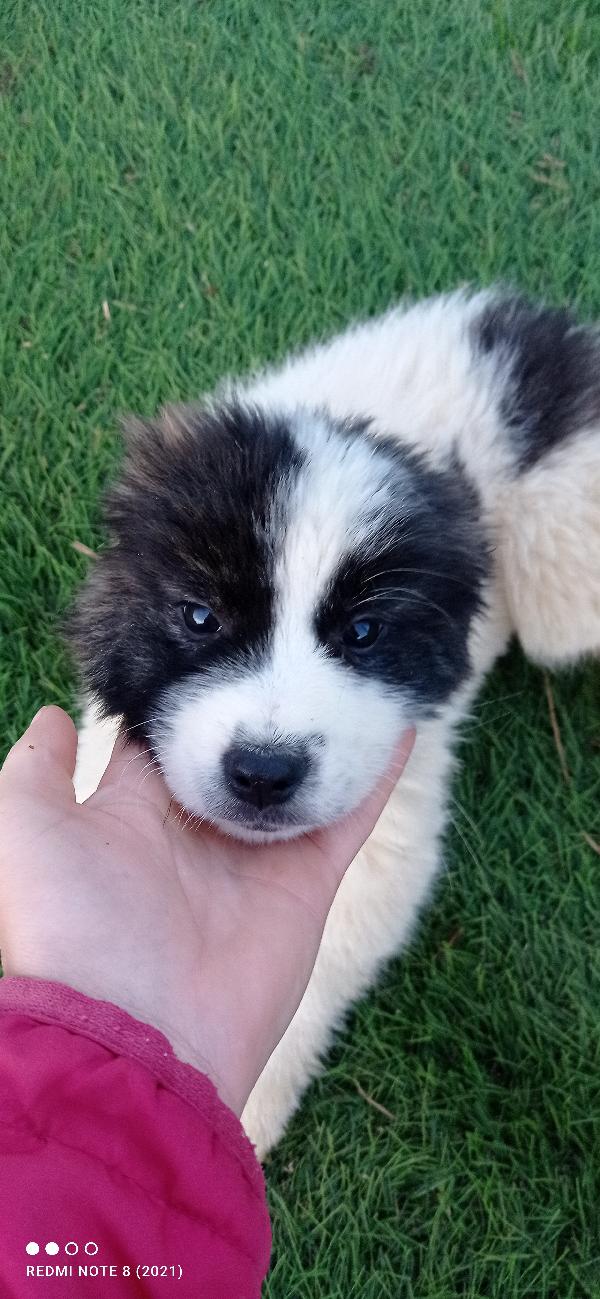 Bart 💙💙 Foto 2