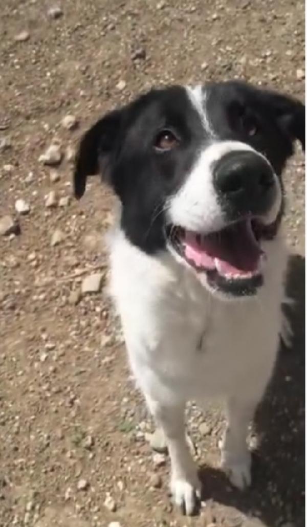 Mask 5Anni Di Attesa..troverà Mai 1Casa? Puglia