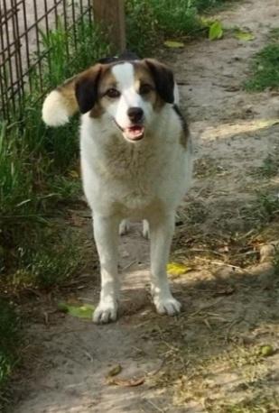 Ambra 7Anni Salita 4Anni Fa E Rifiutata! Bologna