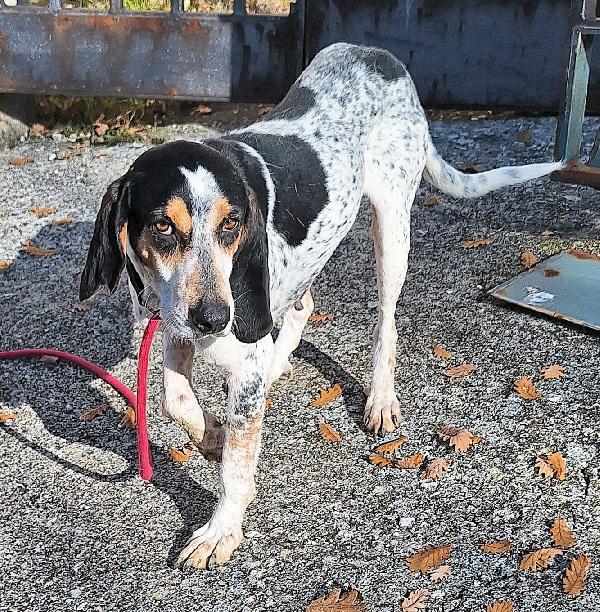 Gustavo 4 anni tripode Foto 2